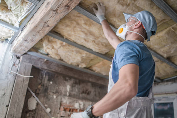 Best Specialized Insulation Services in Rushville, IN
