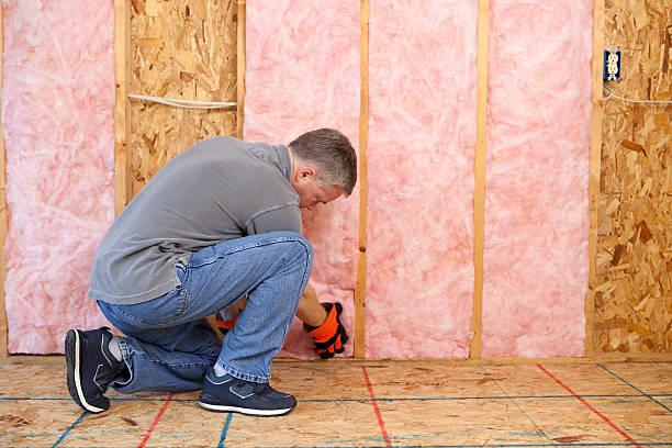 Best Geographic-Specific Insulation Services in Rushville, IN